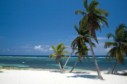 Cayman-overview-2