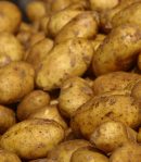 Potatoes