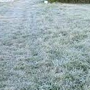 Frost on the ground