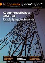 Commodities 2013 Part 2: Outlook for funds and exchange traded products