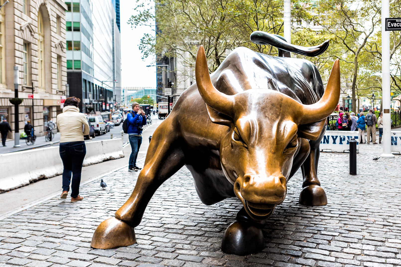 Chargin Bull Wall Street