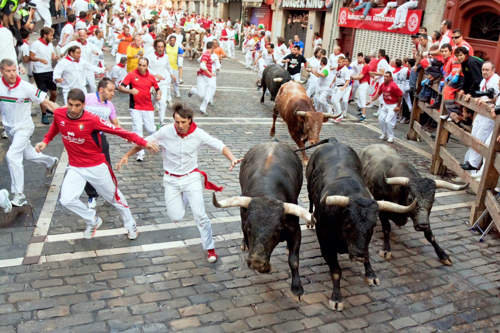 Bull running in Pamplona, Spain