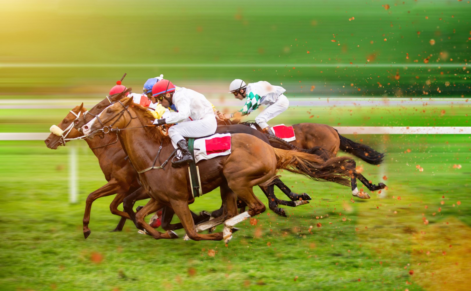 Horse racing