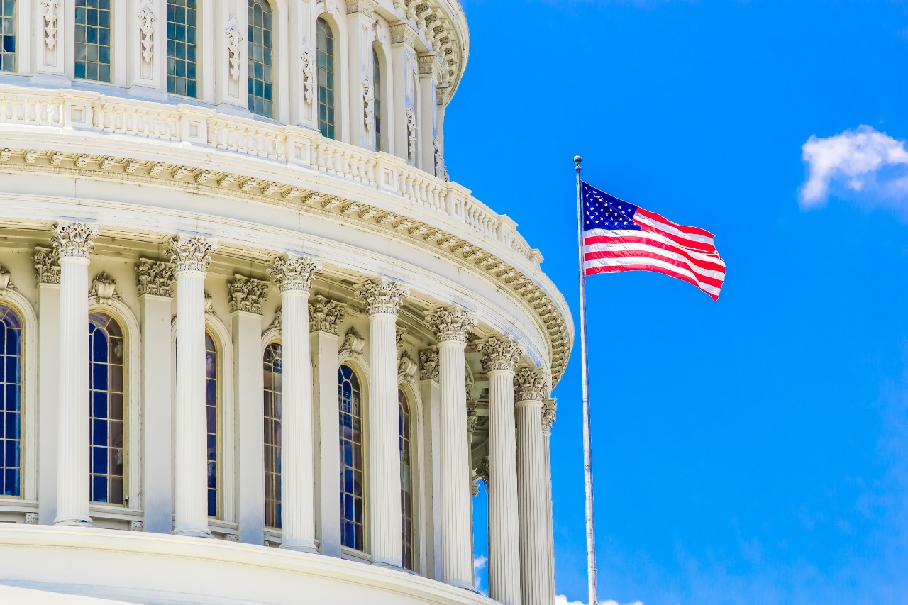US Capitol with flag