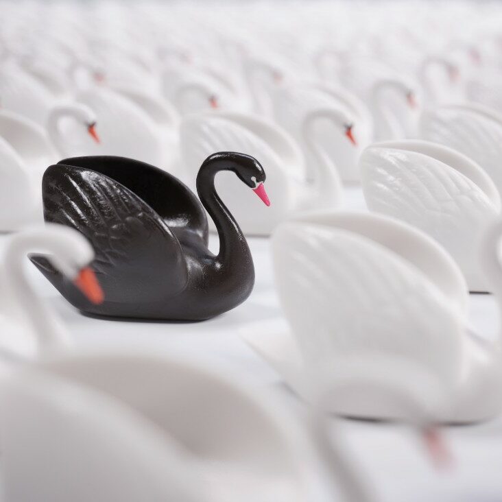 Black swan