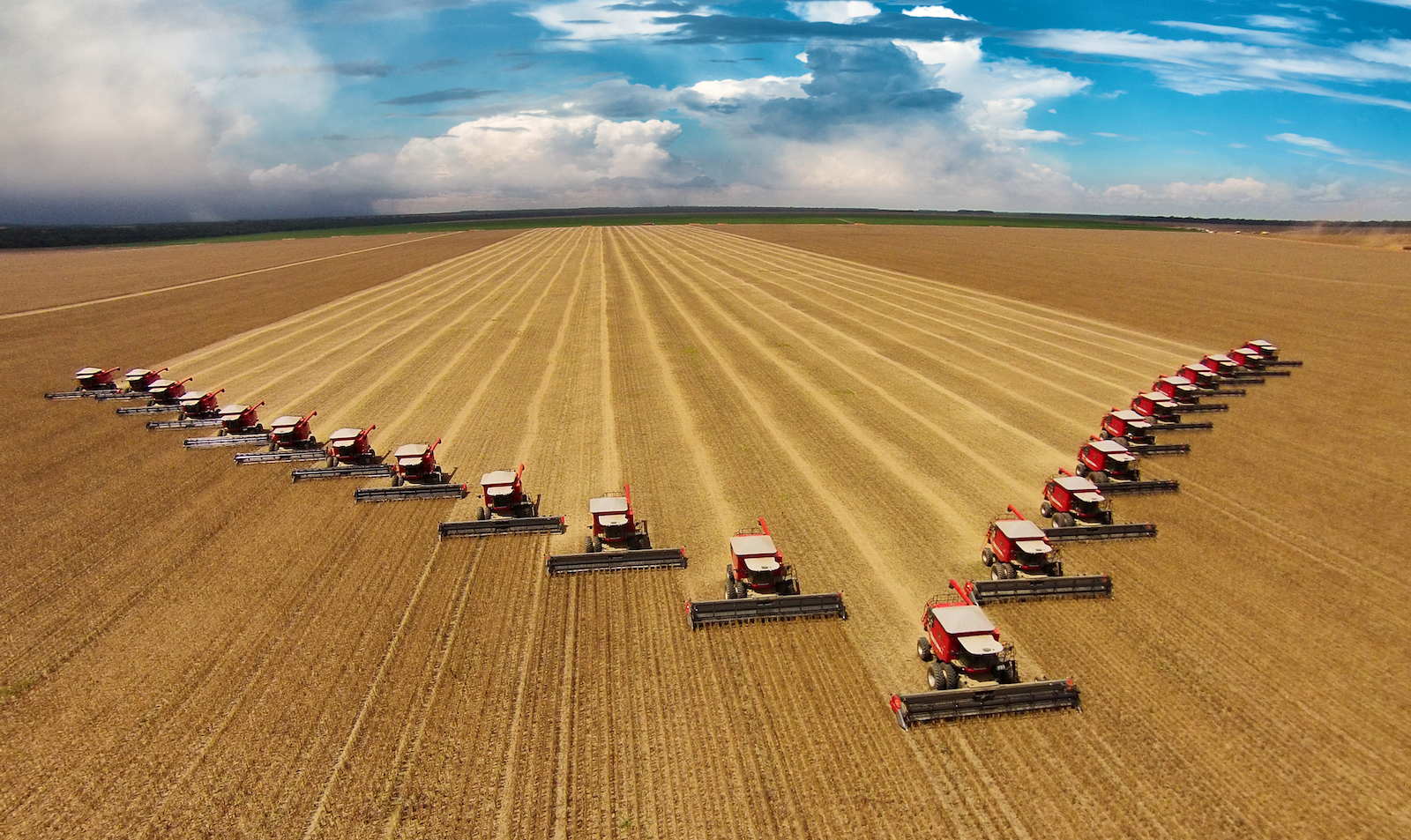 Harvest