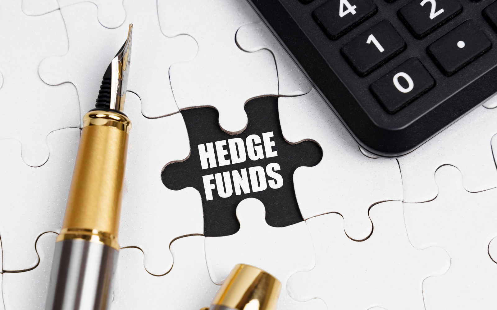 hedge fund puzzle