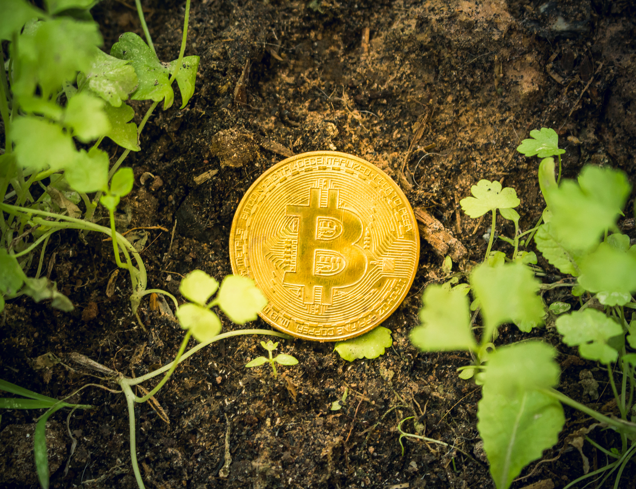 Bitcoin ESG
