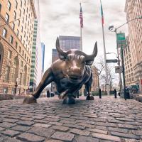 Wall Street Bull