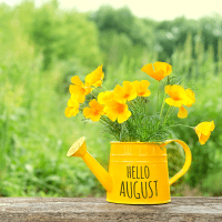 August